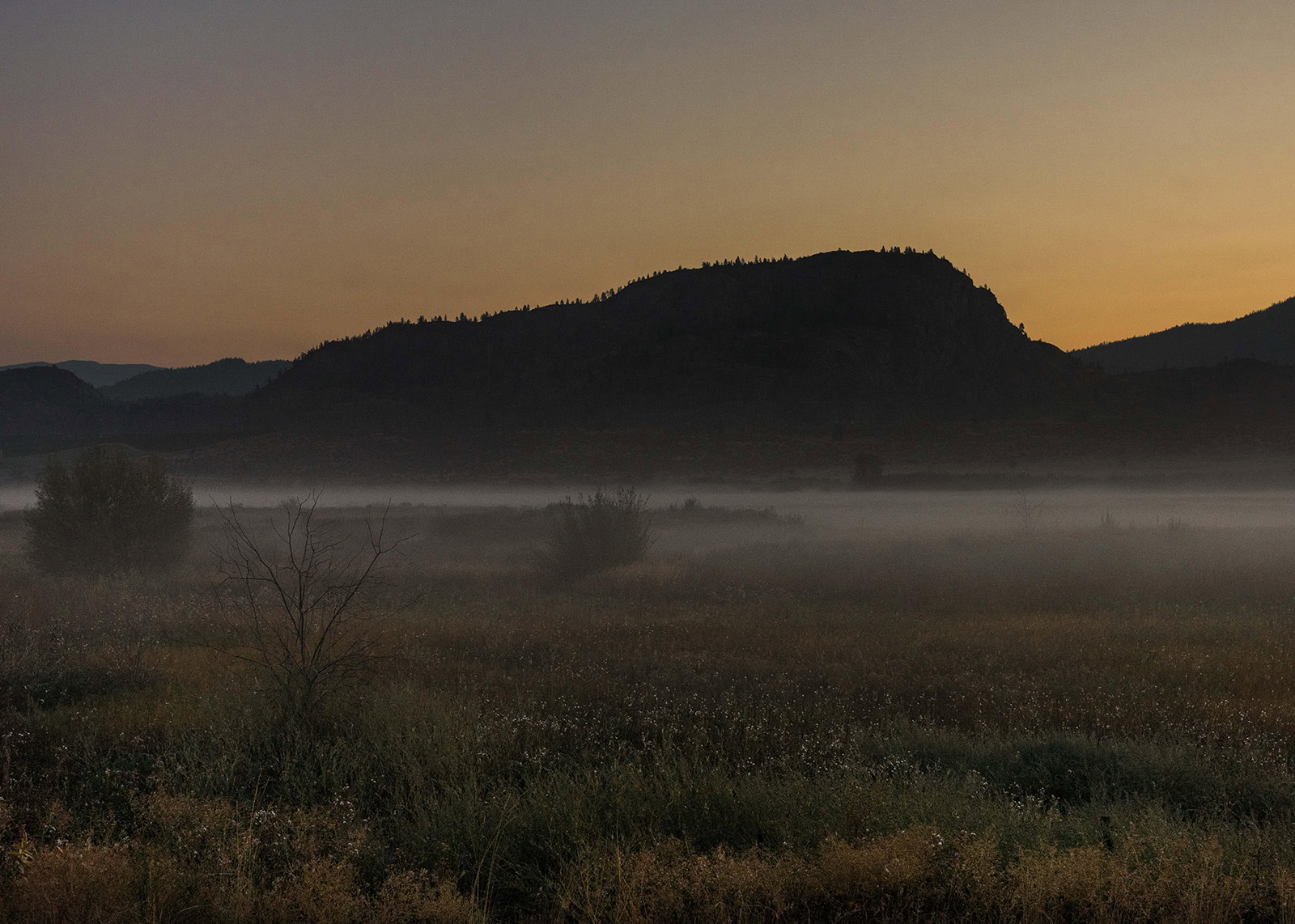 A serene landscape at dusk, featuring a large silhouetted hill against a dimly lit sky. Below, a misty fog blankets the field of grasses and low vegetation, creating a peaceful and tranquil atmosphere. Distant mountains are faintly visible on the horizon.