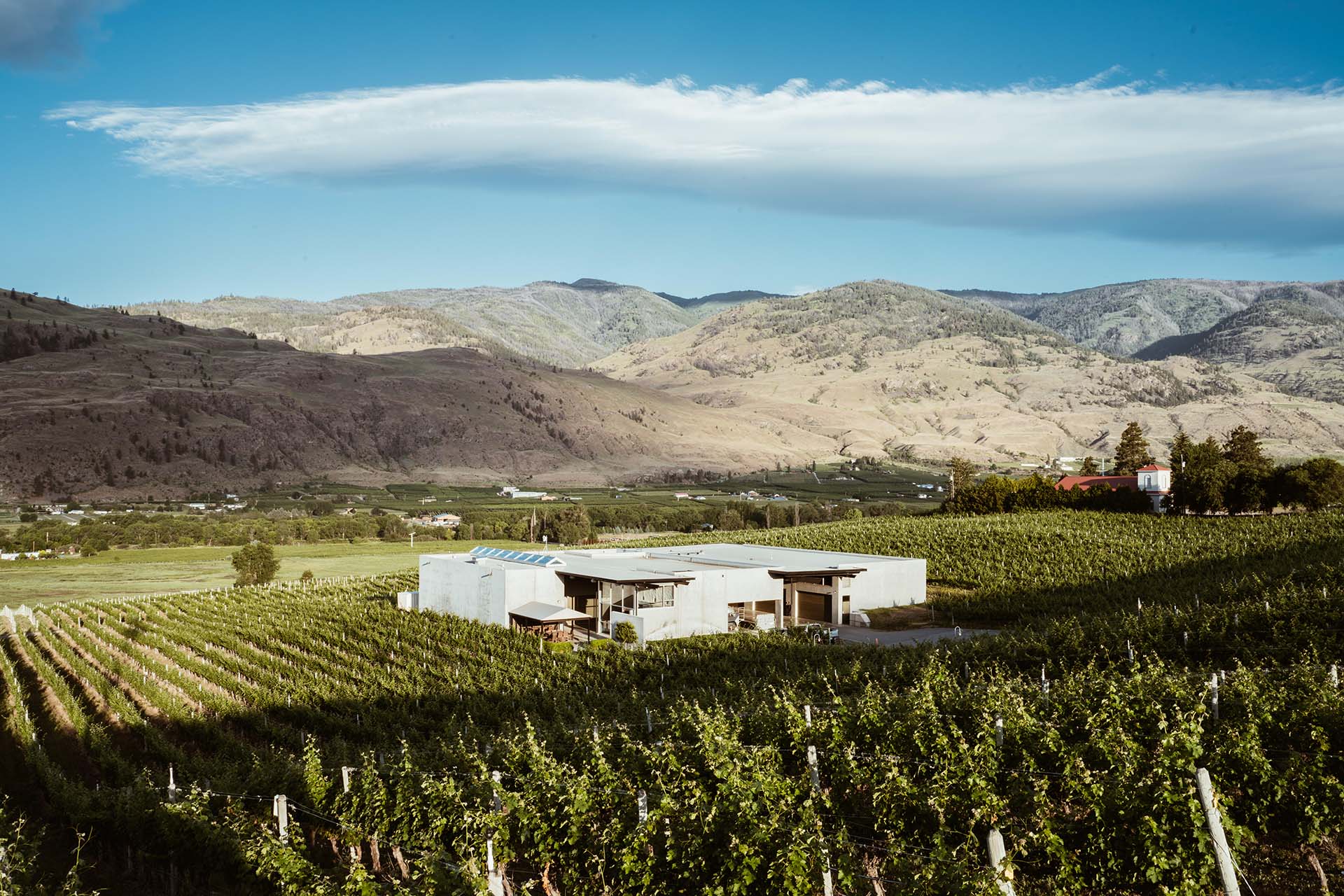 A scenic view of a vineyard with rows of grapevines leading to a modern winery building in the center. Rolling hills and mountains rise in the background under a blue sky with a white, wispy cloud. Greenery and distant structures are visible in the landscape.