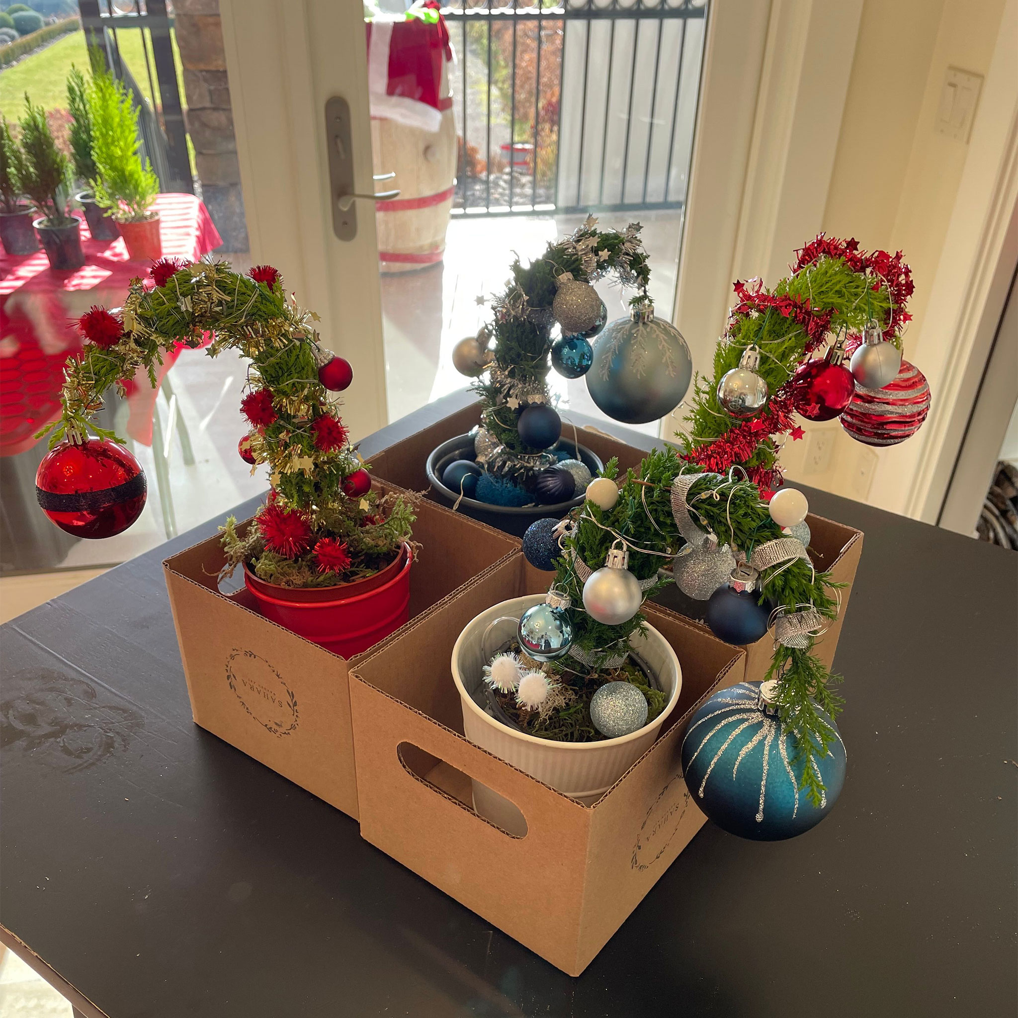 Three potted plants designed to resemble whimsical, bent-over Christmas trees with red, blue, and silver decorations are placed in a cardboard box. In the background, a glass door opens to a patio with additional festive decor.